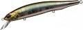 EverGreen Sidestep SF 250. Фото модели 250 EverGreen Sidestep SF 250